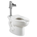 American Standard Madera Elongated 15&quot;H Toilet, 1.1-1.6 GPF, 2234001.020