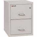 Fireking Fireproof 2 Drawer Vertical File Cabinet 21825PL, Letter Size, 21&quot;W x 25&quot;D x 28&quot;H