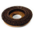 Powr-Flite SF215 15&quot; Poly Shower Feed Brush With Clutch Plate For Carpet