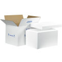 19&quot; x 12&quot; x 12-1/2&quot; Insulated Shipping Kit