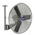Global Industrial Deluxe Ceiling Mount Fan, 30" Diameter