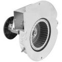 Fasco 3.3&quot; Shaded Pole Draft Inducer Blower, 115 Volts 3000 RPM