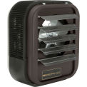 Berko&#174; Horizontal/Downflow Unit Heater, 3KW at 208V, 1Ph