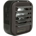 Berko&#174; Horizontal/Downflow Unit Heater, 5KW at 208V, 1-3Ph