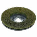 Bissell® 17" Nylon Grit Brush - Green/Gray