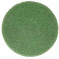 Bissell Commercial 437.056 12&quot; Cleaning Pad, Green