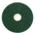 Global Industrial 13&quot; Green Scrubbing Pad, 5/Case