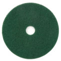 Global Industrial 20&quot; Green Scrubbing Pad, 5/Case, 400320