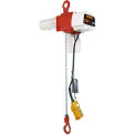 ED Dual Speed Electric Chain Hoist - 1050 lbs, 120V, 22/6 ft/min, 10&#39; Lift