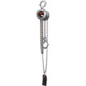 Harrington CX Mini Hand Chain Hoist - 10' Lift, 1/4 Ton