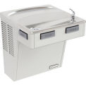 Halsey Taylor HAC8PV-NF Barrier-Free Cooler, Platinum