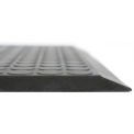 Ergomat Complete Smooth Anti-Fatigue/Anti-Static Mat, 2' X 6', Anthracite