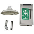 Haws Drench Shower Pull-Down Lever Ball Valve Mounted In Recessed SS Cabinet, Ceiling-Mounted