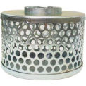 Apache 70000504, 2&quot; FNPT Plated Steel Round Hole Strainer