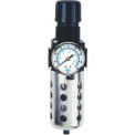 Integral Filter/Regulator W/ Gauge & Float Drain, Zinc & Poly Bowl, 1/4&quot; NPT, 150 PSI
