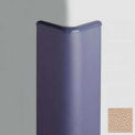 Corner Guard Bullnose 90°, 3'' Wings, 12'H W/Caps, Caisson