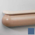 Crescent Series Vinyl Handrail/Crashrail Combination, 5-1/2&quot;H x 12&#39;L, Blue Bird