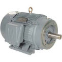 Worldwide Electric T-Frame Motor PEWWE125-12-445TC, TEFC, GP, 3 PH, Rigid-C, 445TC, 138 FLA