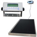 Health O Meter Digital Scale 600 x 0.2lb/270 x 0.1kg 22-1/4 x 42&quot; Plat. W/ Remote Display, 2842KL