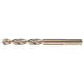 DeWALT Pilot Point Drill Bit, 3/8" Diameter, 1/Pack, DW1924