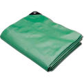 Hygrade Heavy Duty Super Cover Poly Tarp, 10 Mil, Green/Black, 15&#39;L X 30&#39;W