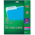 Avery Self-Adhesive Filing Labels, 1/3 Cut, 2/3 x 3-7/16, Clear, 450/Pack