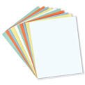 Magna Visual&#174; Perforated Full Sheet Data Cards, 8-1/2&quot;W x 11&quot;H, 10/Pack