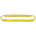 Liftex Pro-Edge 3'L-1&quot;W 2 Ply Endless Poly Flat Web Sling