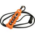 20' Power Cord-4 Button Pendant for VOLT Series Electronic Hoists