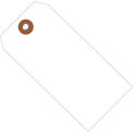 6-1/4&quot;x3-1/8&quot; Plastic Shipping Tag, White, 100 Pack