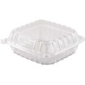 Hinged Lid Plastic Containers 8-3/10&quot; x 8-3/10&quot; x 3&quot; 1 Compartment - 250 Pack