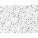USG Fissured&#8482; Ceiling Panel Mineral Fiber WHT 24&quot; x 24&quot; Shadowline Tapered Edge