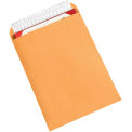 Redi-Strip Flat Self-Seal Envelopes - 9x12&quot; - Case of 500 - Kraft