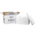 17&quot; x 10&quot; x 10-1/2&quot; Insulated Shipping Kit