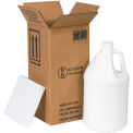 Box Partners 1 Gallon Plastic Jug Shipper Kit 6&quot; x 6&quot; x 12-3/4&quot;, HAZ1130