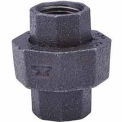 Anvil 0812508208 3/4&quot; Black Malleable Union 150 PSI Lead Free