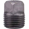Anvil 0818902405 Anvil 3/4&quot; Black Malleable Square Head Plug
