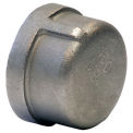 KINGDOM K416-12 KINGDOM 3/4&quot; 304 Stainless Steel Cap, FNPT