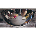 360-Degree Steel Full Dome Mirror - Indoor, 24 Diameter