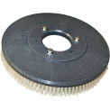 13" Poly Scrub Brush for 26" Auto Floor Scrubber, VF83127