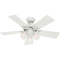 Hunter Fan 51010 Southern Breeze&#174; 42&quot; Indoor Ceiling Fan White