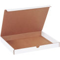 12-1/8&quot;x9-1/4&quot;x1-1/4&quot; Literature Mailer, White - Pkg Qty 50