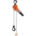 CM Series 653 Lever , 5Ft Lift, 3/4 Ton Cap.