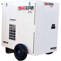 Heatstar HS250TC, Nomad Tent & Construction Heater, Propane / NG Dual Fuel, 250000 BTU, 120V