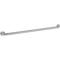 Global Industrial Straight Grab Bar, Peened Stainless Steel, 42&quot;W x 1-1/2&quot; Dia.