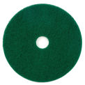 Global Industrial 18&quot; Scrubbing Pad, Round, Green, 5 Per Case