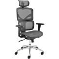 Ergonomic Mesh Chair with Headrest, High Back, Gray