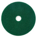 Global Industrial 22" Scrubbing Pad, Green, 5 Per Case