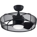 Fanimation FP8519BL Henry 22" Ceiling Fan with Light Kit, Black