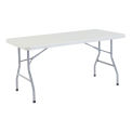 Global Industrial Plastic Folding Table, 60&quot; x 30&quot;, White